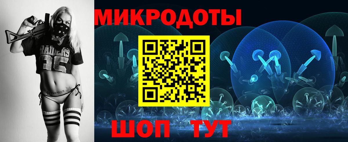 Псилоцибиновые грибы Cubensis Большой Камень